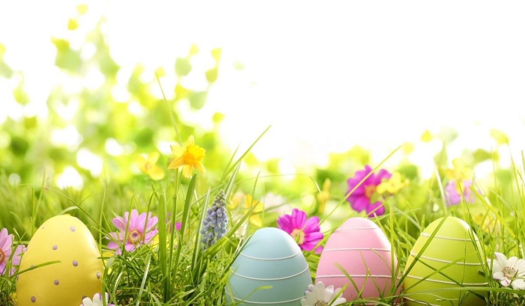red, blue, pink and green eggs on the grass - Easter day