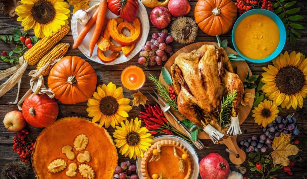 turkey and pumpkin soup with sunflowers decoration - Thanksgiving